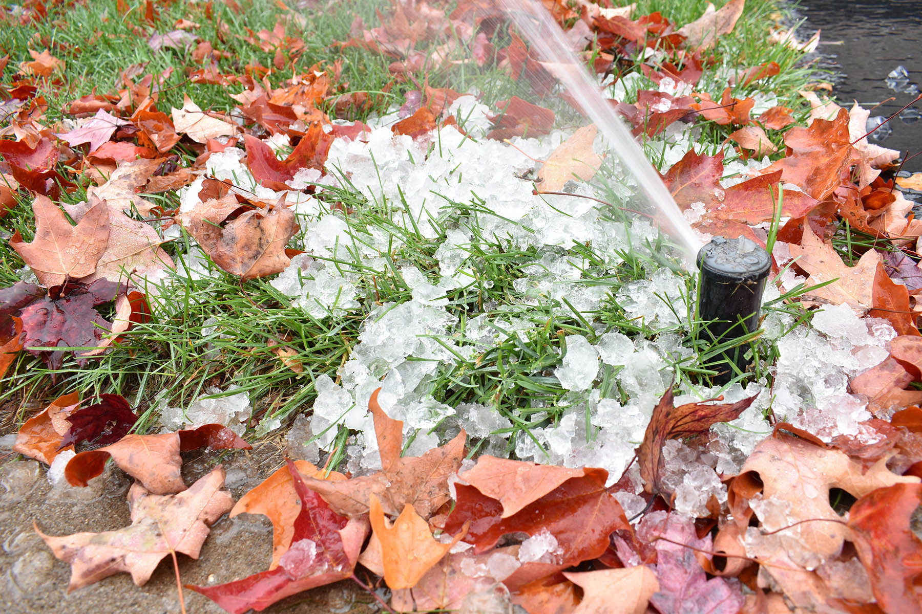 Monroe NJ irrigation winterization blowout